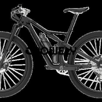 Schwinn Fastback